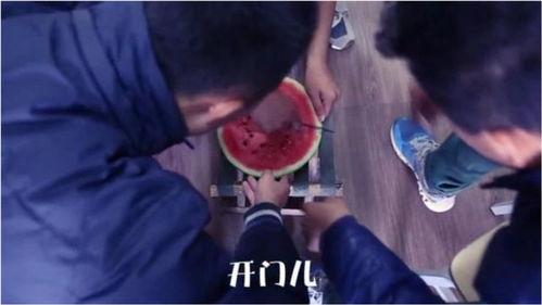 吃瓜奇葩视频在线观看,吃瓜奇葩视频在线观看大揭秘