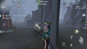 第五人格朱雀吃瓜视频大全,第五人格趣味瞬间大盘点