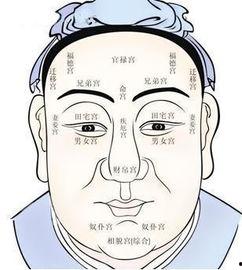 吃瓜的面相图解视频教程,揭秘吃瓜群众的神秘面相特征