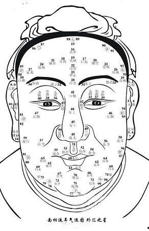 吃瓜的面相图解视频教程,揭秘吃瓜群众的神秘面相特征