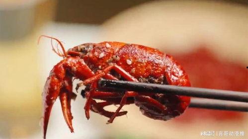 吃瓜和小龙虾视频,夏日美食视频盛宴