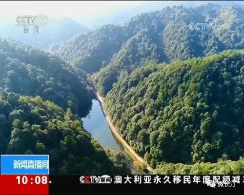 福建安溪吃瓜事件视频,一场引发热议的网络狂欢