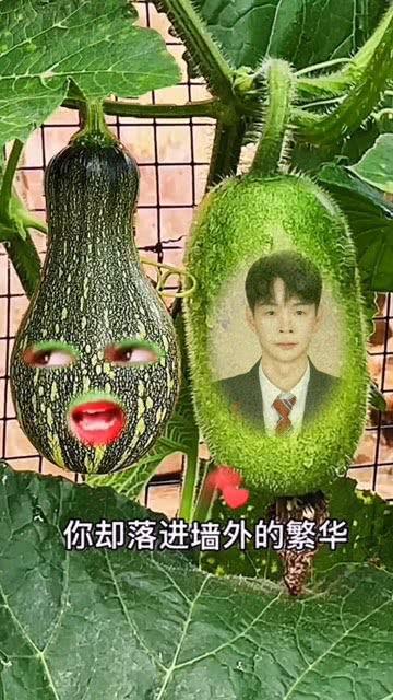 吃瓜视频特效怎么弄的,轻松打造趣味短视频