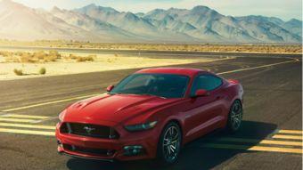 粉红小野马吃瓜视频下载,揭秘娱乐圈幕后故事