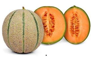 马儿可以吃哈密瓜吗视频,一场跨界美食之旅