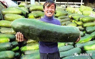 群众吃芥瓜视频素材大全,视频素材大全带你领略民间风味