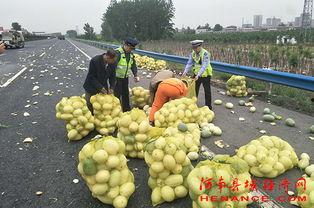 群众吃芥瓜视频素材大全,视频素材大全带你领略民间风味