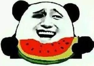 二狗子吃瓜群众视频在线观看,揭秘网络视频背后的热门现象