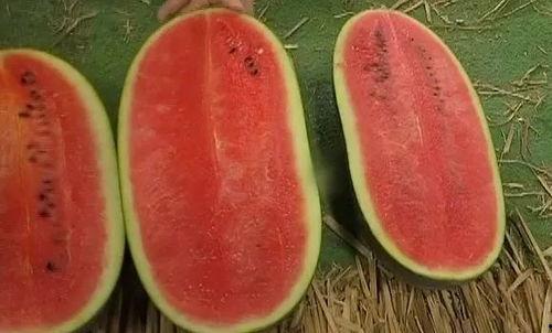 快速吃瓜视频教程大全,轻松掌握短视频制作技巧