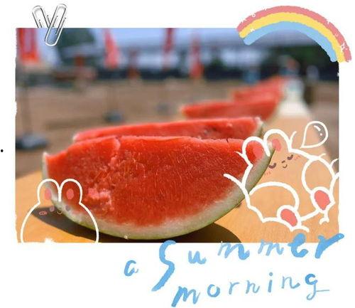 吃瓜2g现场背景视频,一场视觉盛宴的幕后故事