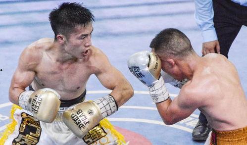 吃瓜群众拳击视频大全,拳拳到肉！吃瓜群众拳击视频大全精彩瞬间回顾