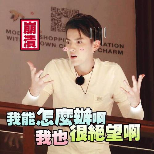 网友吃瓜视频搞笑段子,搞笑段子笑翻全场