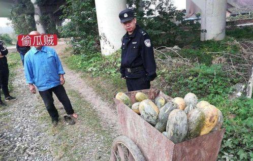 滨州沾化吃瓜事件视频最新,一场引发热议的网络视频风波