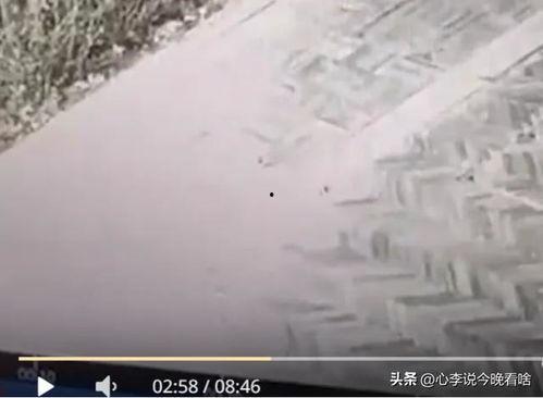 高楼吃瓜视频完整版,揭秘视频背后的惊人真相与幕后故事