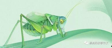 蝈蝈吃不吃拉瓜虫呢视频,揭秘它们是否食用拉瓜虫