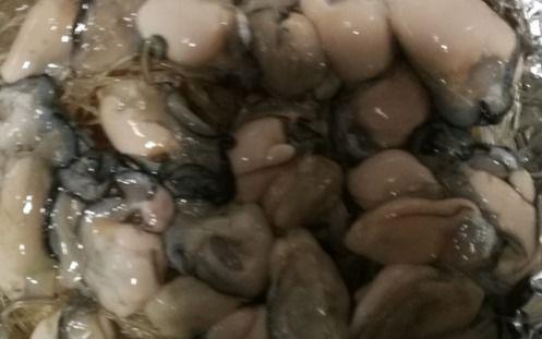 猫屎瓜怎么吃才好吃视频,视频教你轻松解锁最佳食用方法