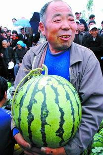 20岁吃瓜视频,揭秘娱乐圈那些不为人知的幕后故事