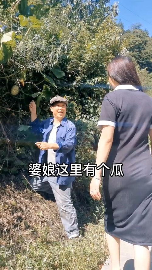 欢乐吃瓜搞笑视频下载免费,搞笑视频免费下载，笑出腹肌的欢乐时光！