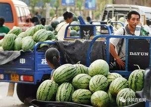 永年产业城吃瓜视频,揭秘吃瓜群众的视角下的产业新城生活