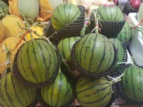 汾阳中汾吃瓜视频,一场全民参与的乡村盛宴