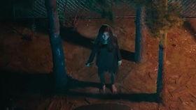 缅北恐怖视频吃瓜群,吃瓜群背后的真相与反思