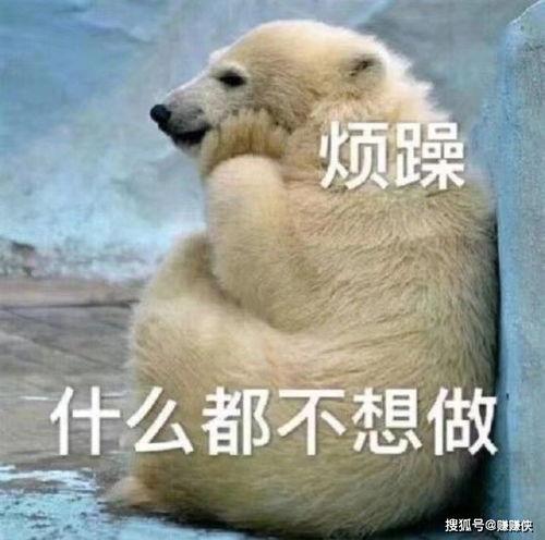 热巴动态表情吃瓜视频,太可爱了！