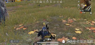 吃瓜人遇到狼人视频,揭秘狼人视频背后的真相