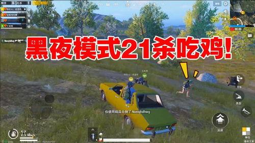 聪明瓜吃鸡视频在线观看,趣味横生，笑点满满的游戏盛宴