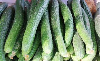 吃药吃瓜了的视频,揭秘网络热梗背后的趣味与思考