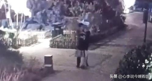 吃瓜冻瓜视频完整版,一场视觉盛宴的完整版回顾