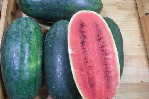 青岛小哥吃瓜视频大全,趣味横生的市井生活缩影