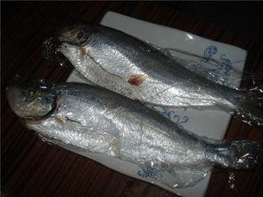 王瓜鱼怎么烧着吃视频