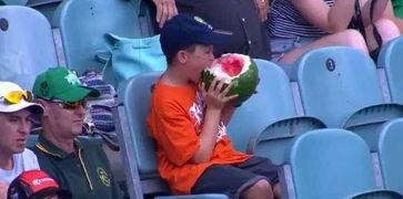 吃瓜群众捡西瓜视频播放,吃瓜群众捡西瓜视频走红网络