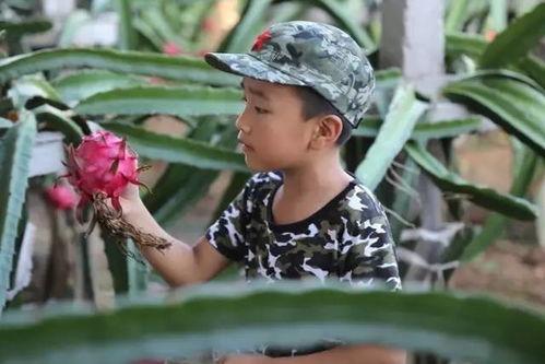 吃瓜霸王花小男孩视频大全