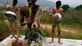 伪军吃瓜的视频在哪看的,观看途径大揭秘