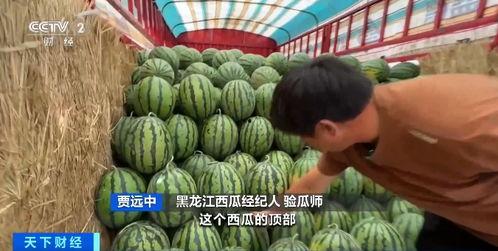 文安梅花姐吃瓜视频,揭秘娱乐圈幕后故事