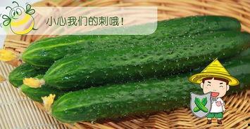 在线吃瓜第六集视频,揭秘幕后真相，剧情反转再反转