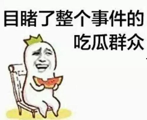 吃瓜群众卢小宁视频在线观看,揭秘娱乐圈幕后故事