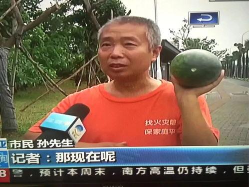 社会热点吃瓜事件视频,一场吃瓜群众的狂欢与反思