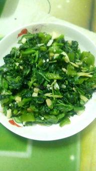 怎么用小瓜炒菜吃呢视频,家常美味轻松学