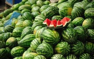 拉萨网红吃瓜事件真相视频,真相视频曝光背后的真相